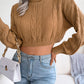 Women's casual fried dough twist long sleeve high neck navel revealing knitted sweater